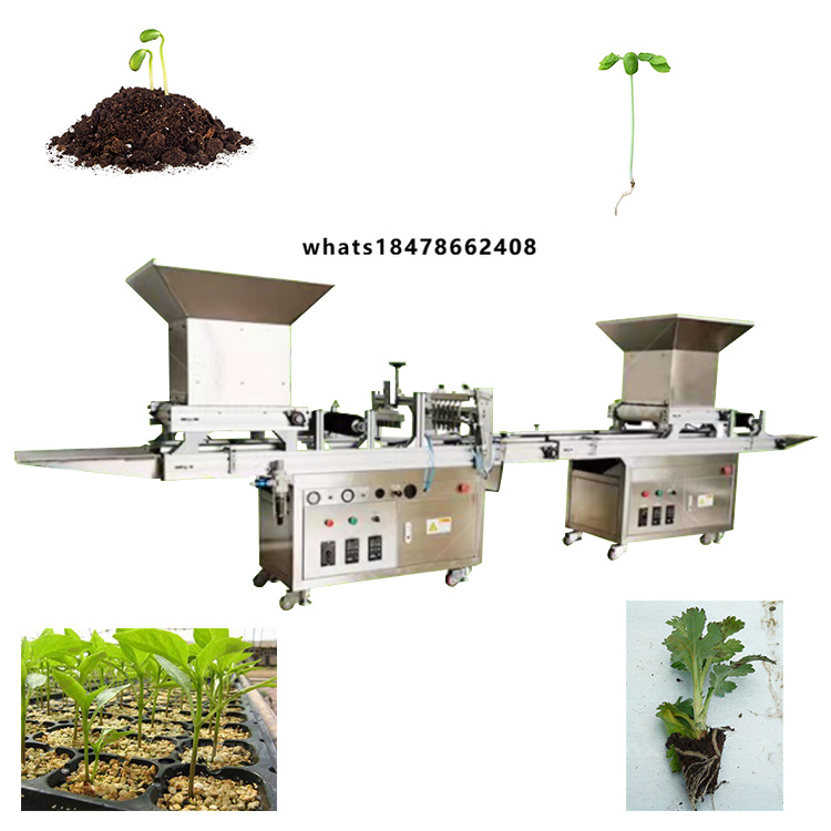 Agriculture Onion Farming - Macchina automatica per il trapianto di
