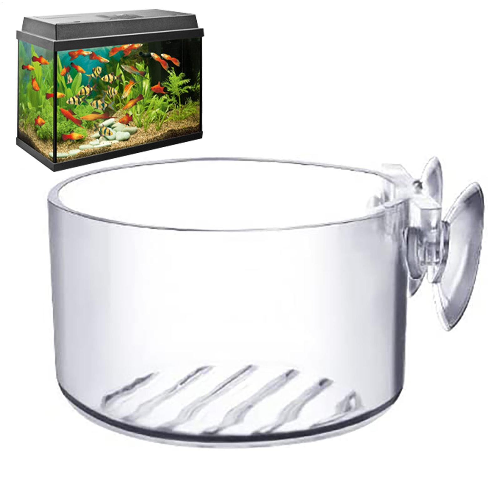 Plant Growth Regulator - Vaso per Piante Acquatiche in Acrilico