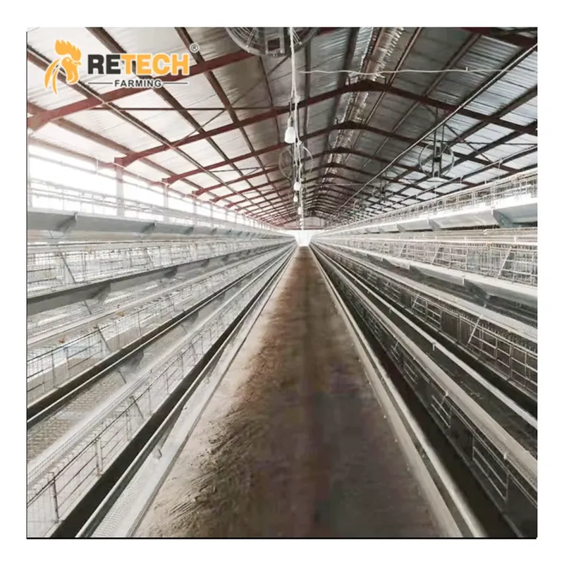 Gabbia Automatica per Galline  - Farming Africa recensione e prezzo