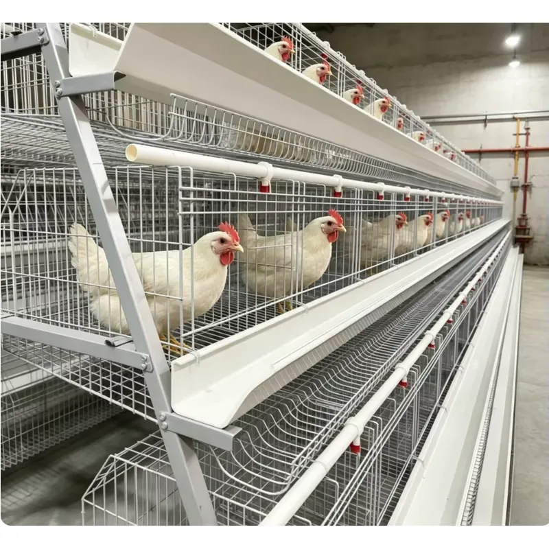 Gabbia a strati per batterie d - Farming Africa recensione e prezzo