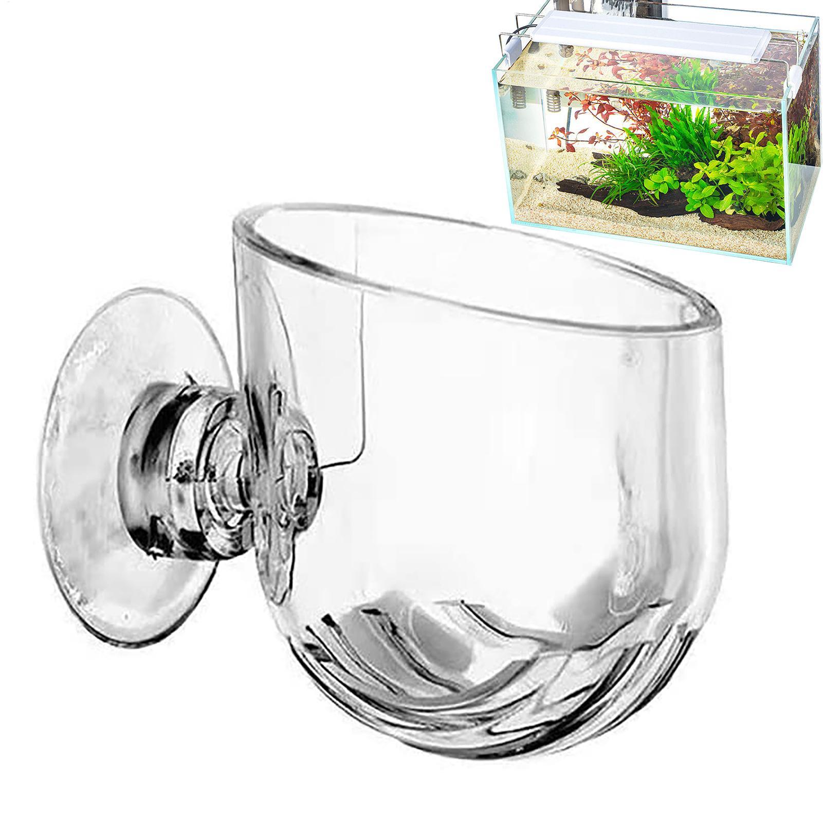 Vaso per Piante Acquatiche in  - Plant Growth Regulator recensione e prezzo